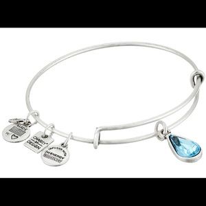Alex and Ani Water Drop Bangle